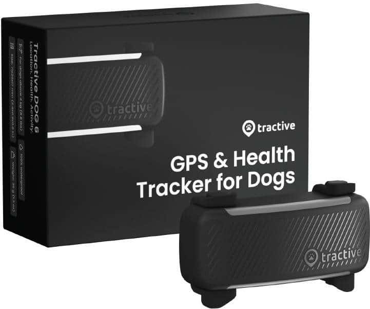 GPS lokátor pro psy: jak vybrat obojek podle dosahu a výdrže