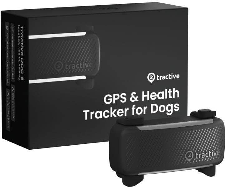 GPS lokátor pro psy: jak vybrat obojek podle dosahu a výdrže